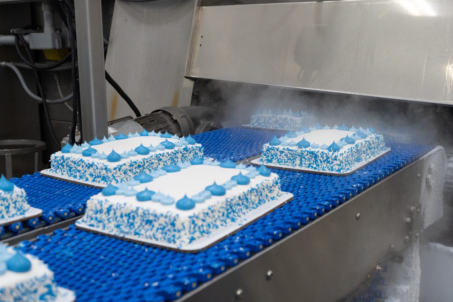 Finished cakes passing from a cooler onto a blue conveyor
