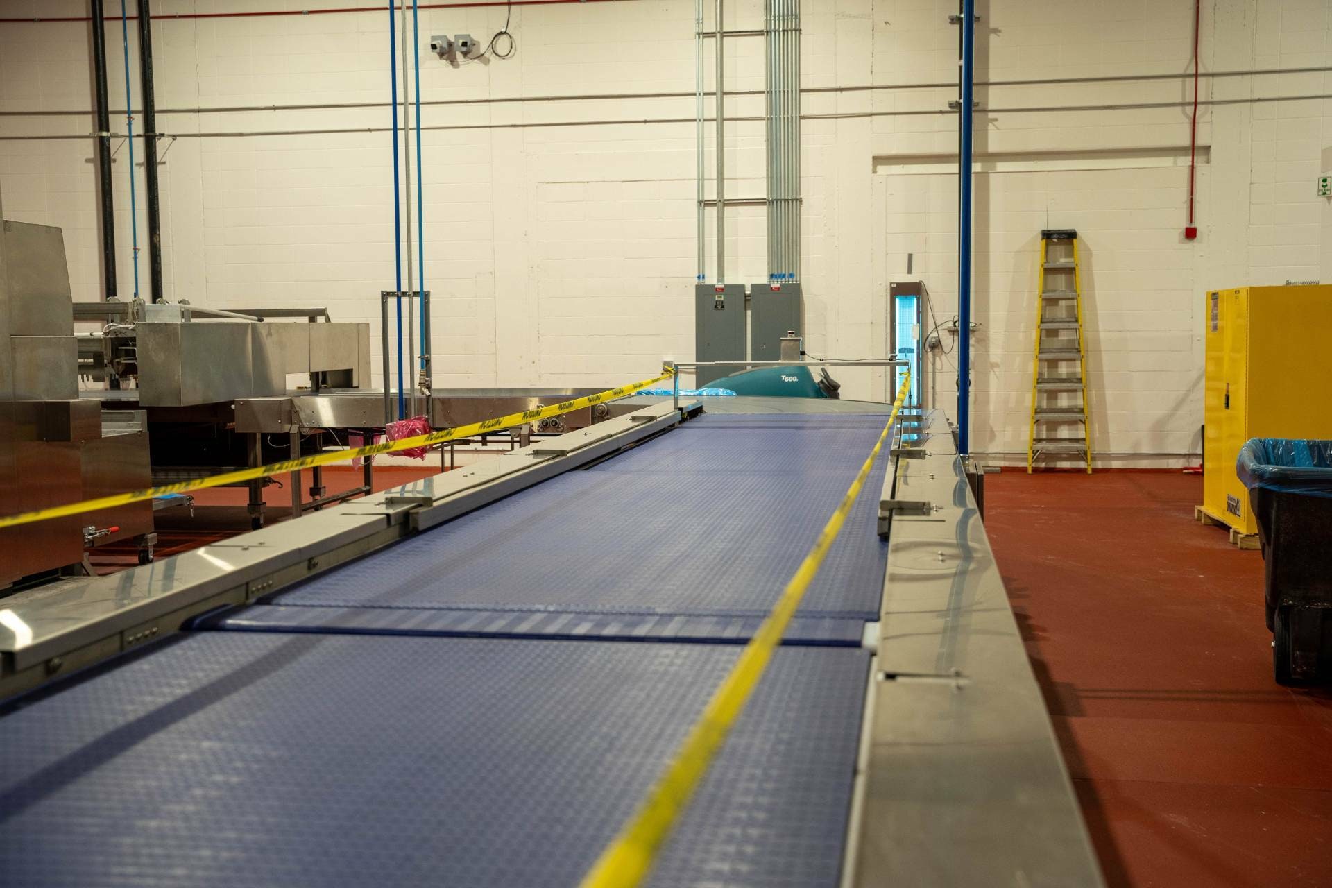 Long blue infeed belt on a THG grouping conveyor