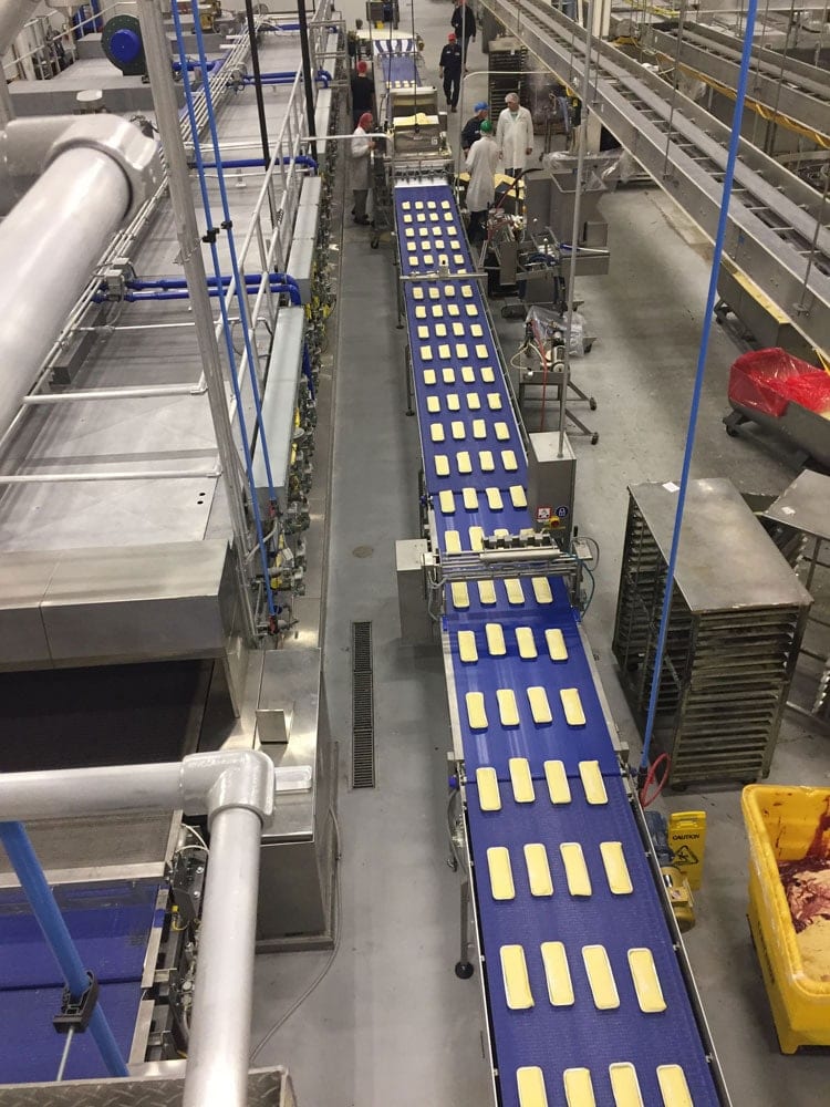Dough pieces moving along a blue conveyor between bakery machines