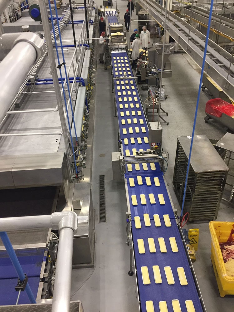 Dough pieces moving along a blue conveyor between bakery machines